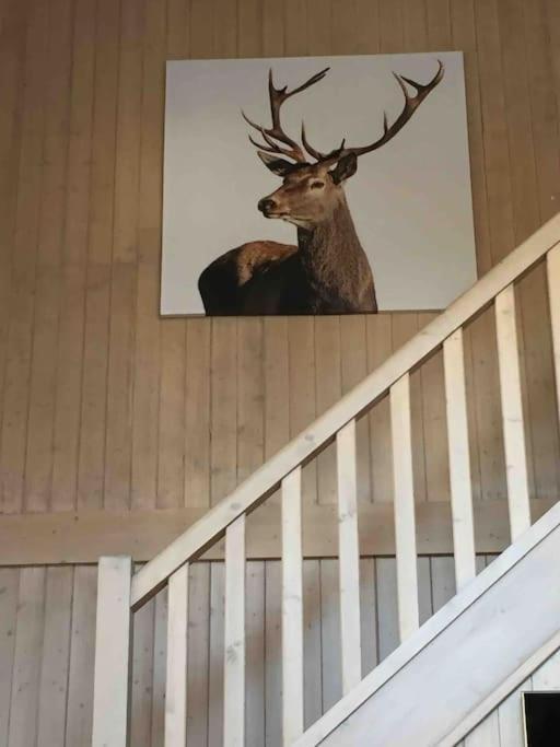 Chalet Milou Ле-Же Екстер'єр фото